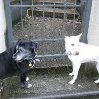 537269_364289223679253_656172254_n