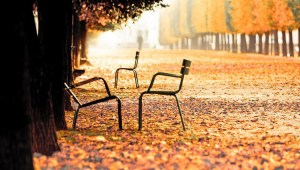 paris-in-fall-chairs